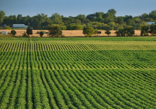 The Power of Regenerative Farming: A Holistic Approach to Agriculture