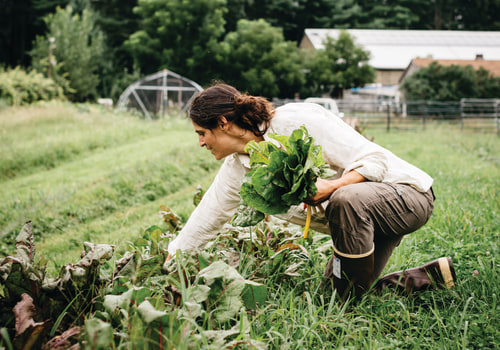 The Truth About Regenerative Agriculture: Separating Fact from Fiction