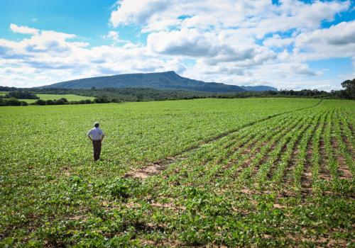 The Difference Between Organic and Regenerative Agriculture