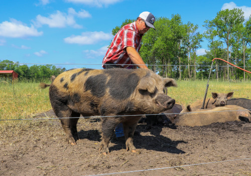 The Profitability of Regenerative Agriculture