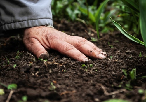 The Power of Regenerative Agriculture: How to Restore Soil Health and Combat Climate Change