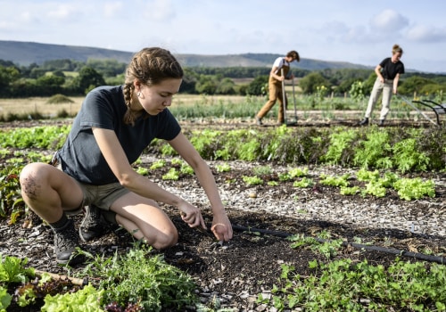 The Power of Regenerative Agriculture: Improving Soil Health and Nourishing Biodiversity