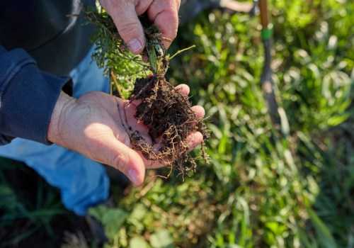 The Power of Regenerative Agriculture: General Mills' Goal for a Sustainable Future